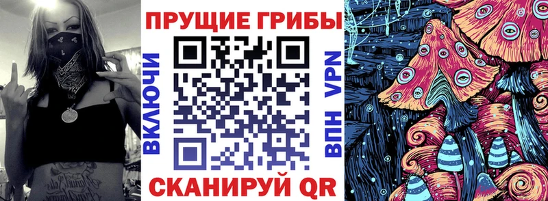 Псилоцибиновые грибы мицелий  Купить  Белебей 